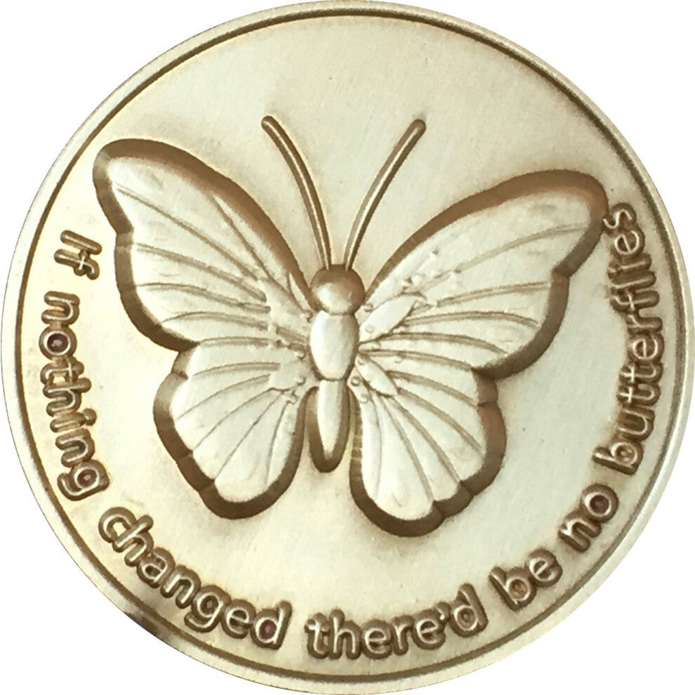 RecoveryChip If Nothing Changed There'd Be No Butterflies Bronze Serenity Prayer Medallion Butterfly Pocket Token