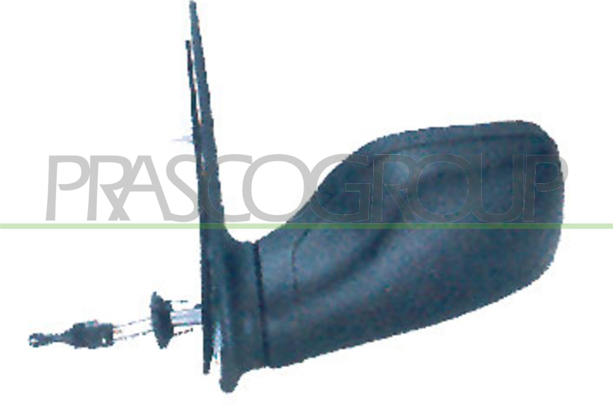 Exterior Mirror PRASCO PG0077124
