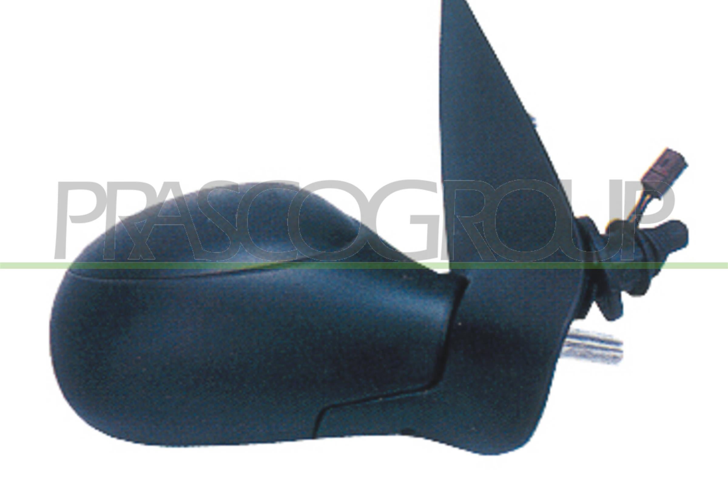 Exterior Mirror PRASCO PG0097113P