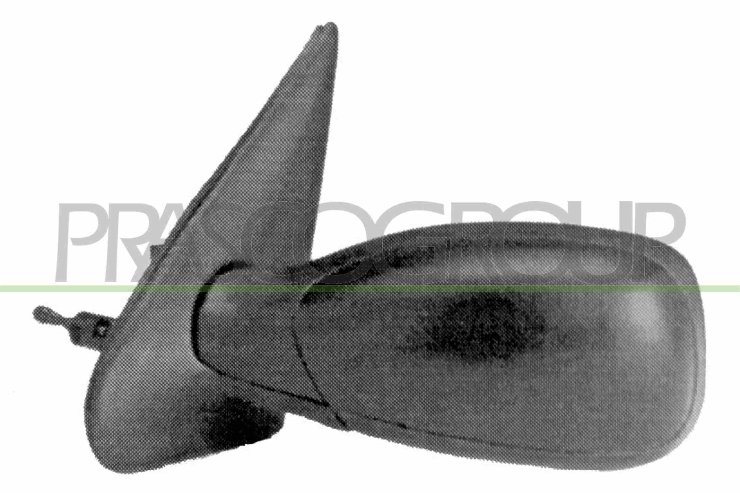 Exterior Mirror PRASCO PG0397114
