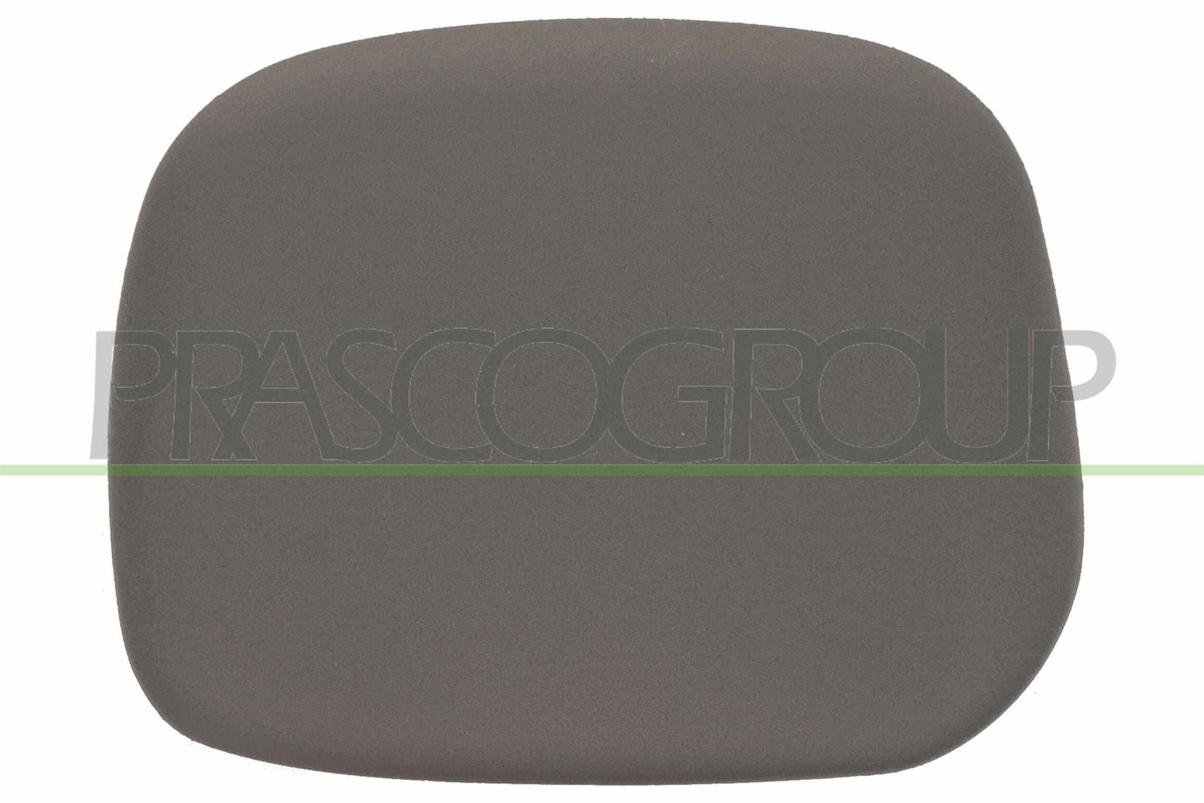 Cover, exterior mirror PRASCO PG9047413