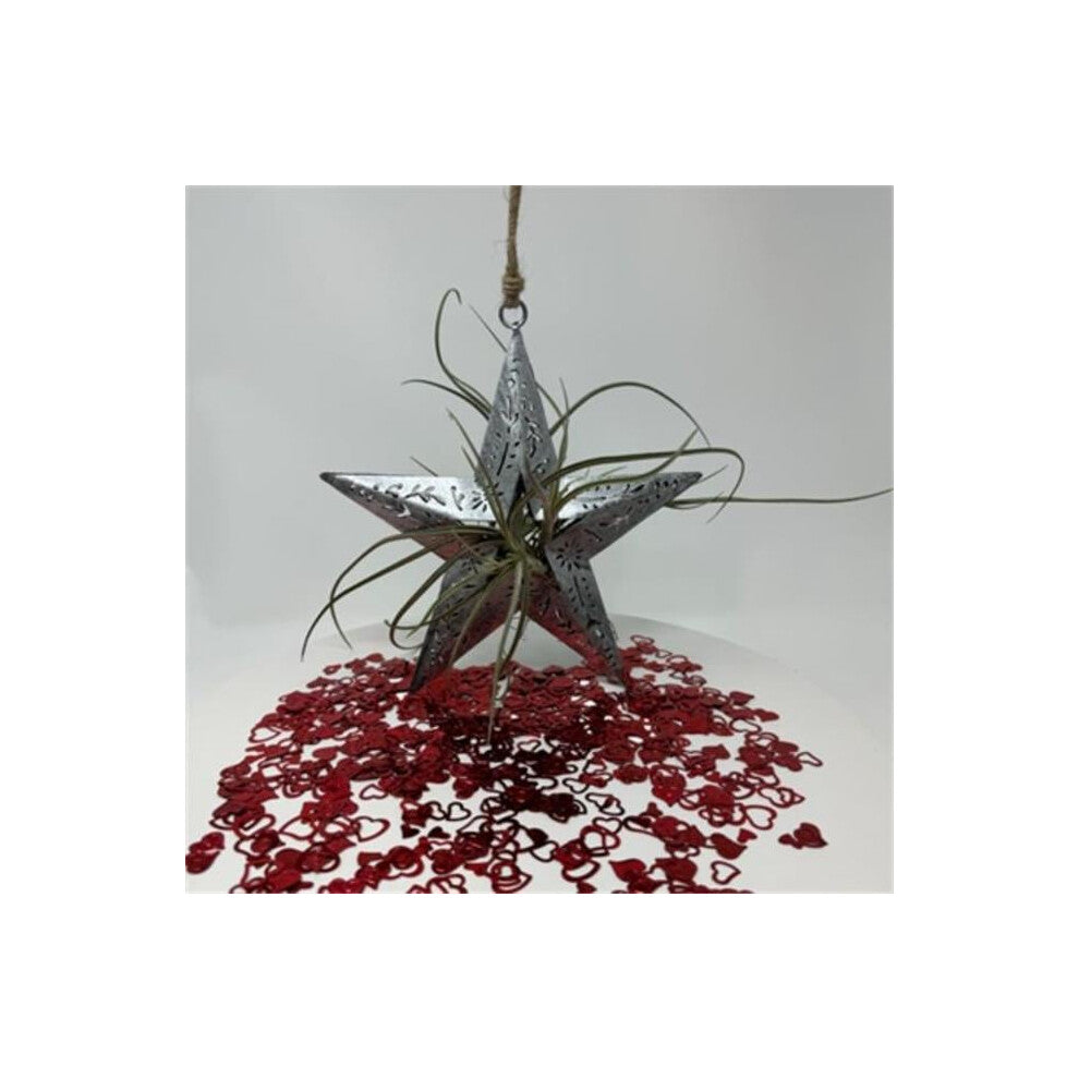 Metrotex Designs 62120 Etched Star Pendant, Silver Patina