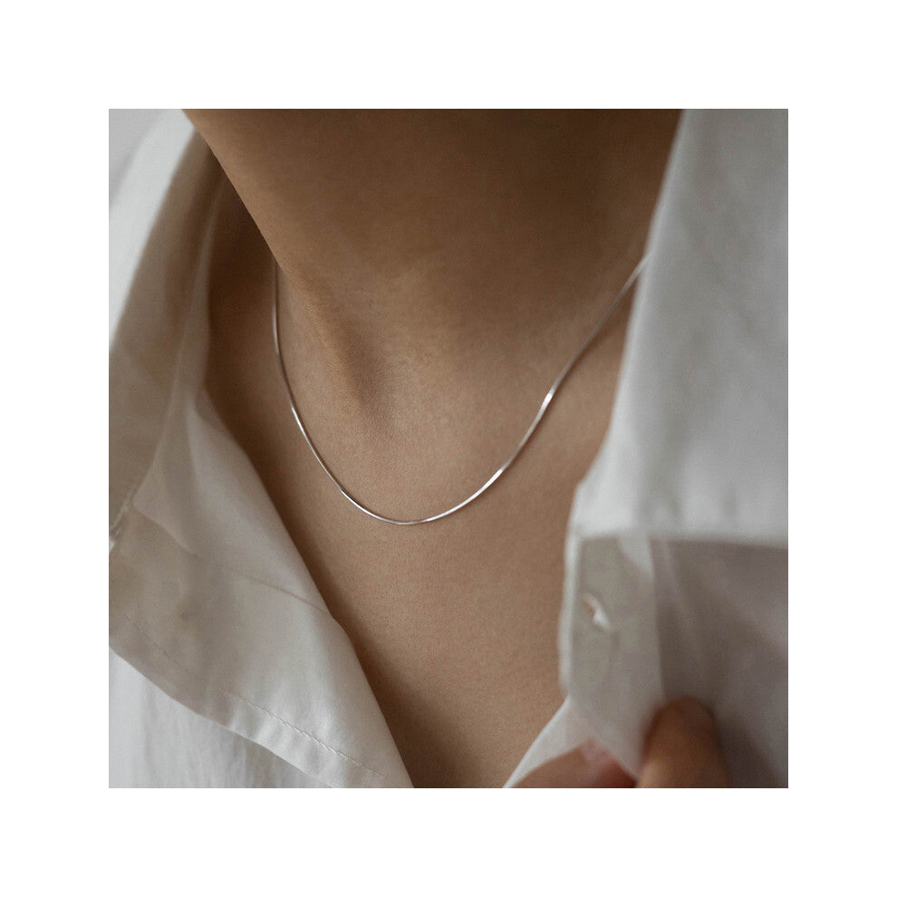 (A212?40+5cm?) Titanium steel snake bone chain, niche necklace, women's light luxury necklace, high-end collarbone chain, Instagram cold style accesso