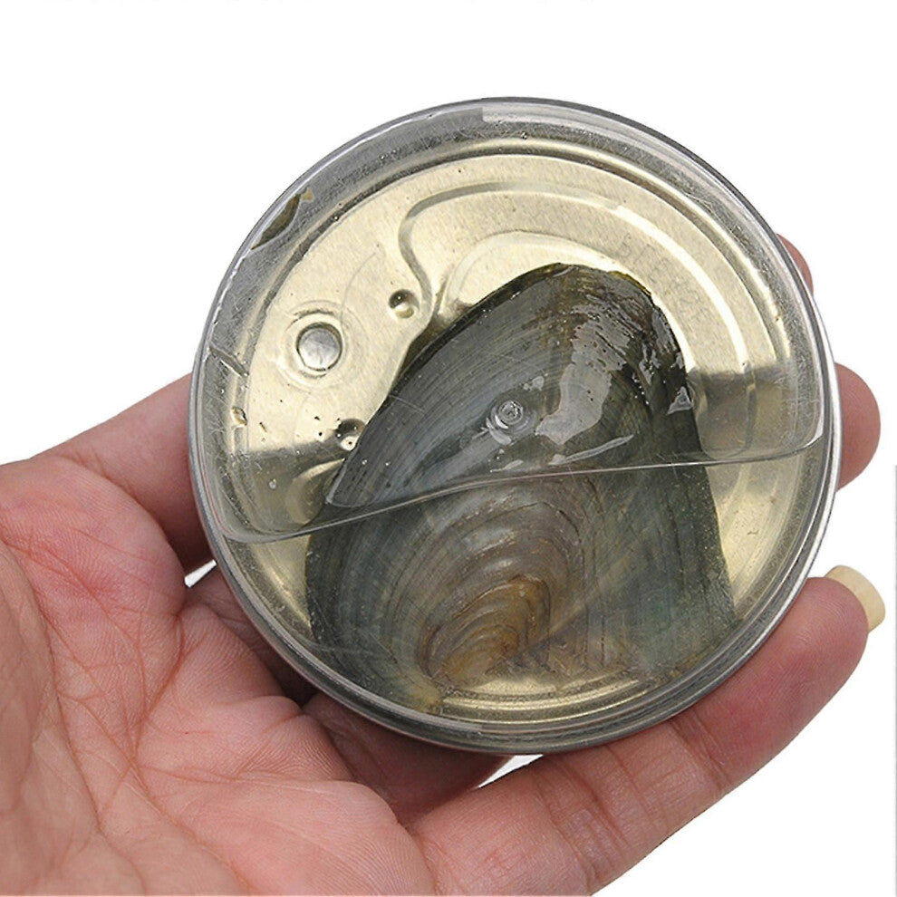 (A Suit, One size) Innovative Wish Pearl Necklace Kit with Pendant Cage Mysterious Pearl Gift Set Great Gift for Little Girls