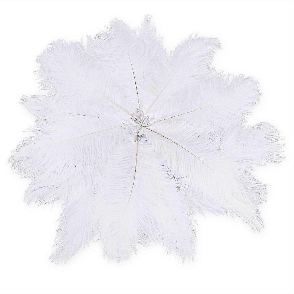 suitable for 20 x natural ostrich feather 25-30cm white decoration festivities-CHENG DU SI XI