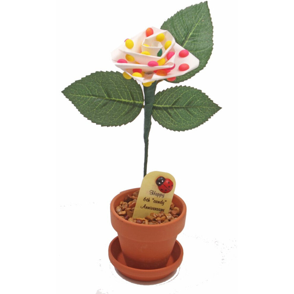 JustPaperRoses 6th Year Candy Wedding  Years 1 to 20  25 and 50