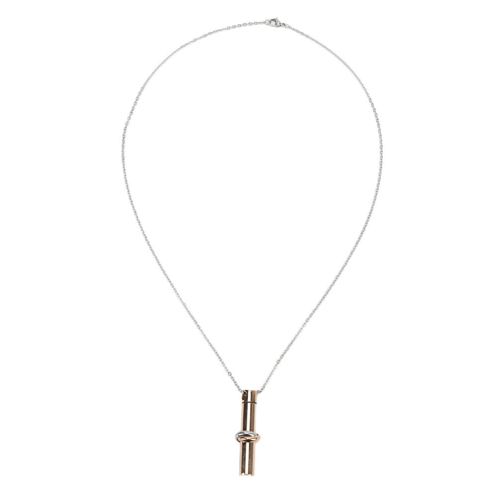 Ashes Necklace 316L Stainless Steel Oxidation Resistant Memorial Cremation Jewelry for Pet