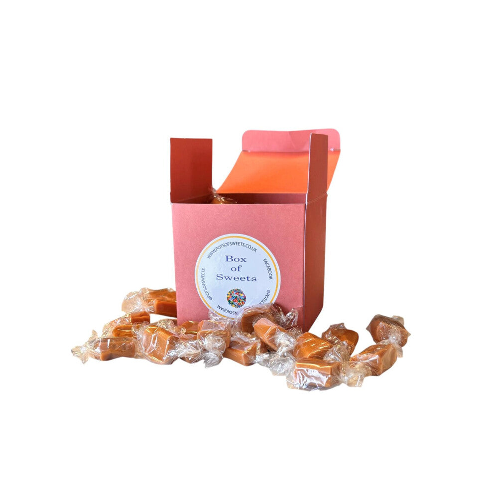 300g Burnt Sienna Box of Bristows Salted Caramel Fudge