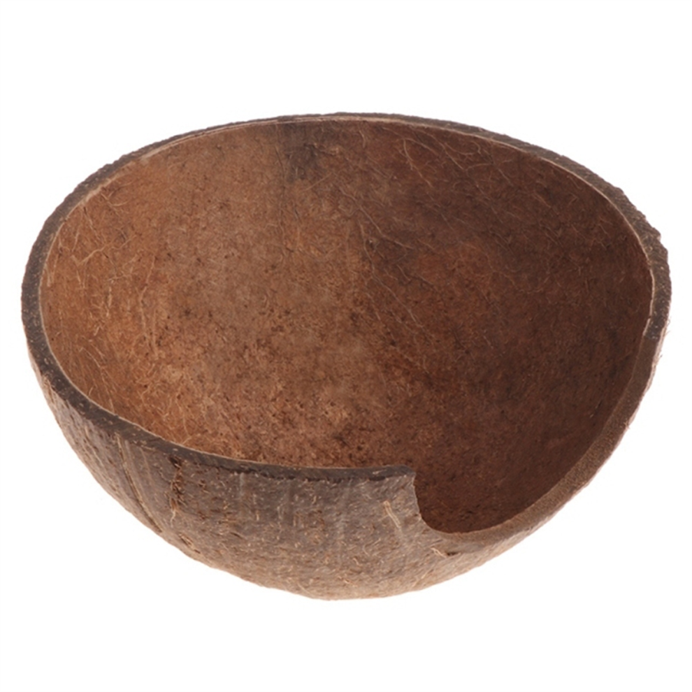 New Reptile Hide Habitat Natural Coconut Shell Lizard Spider Small Animal Cave House