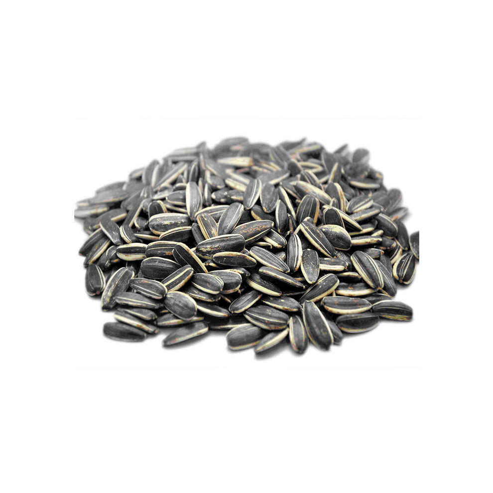 Roasted & Salted Sunflower Seeds (With Shell) 500kg