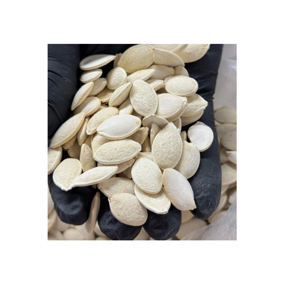 Roasted & Salted Melon Seeds 500g