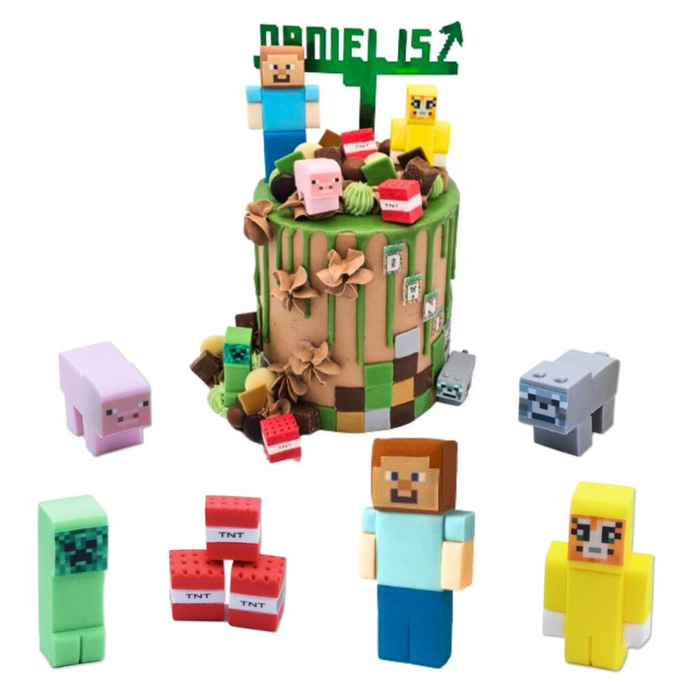 Edible Birthday Cake Toppers Set - Kids Handmade Icing Fondant Video Game Characters Figures - Party Gifts Cupcake Decoration Supplies Comes with an