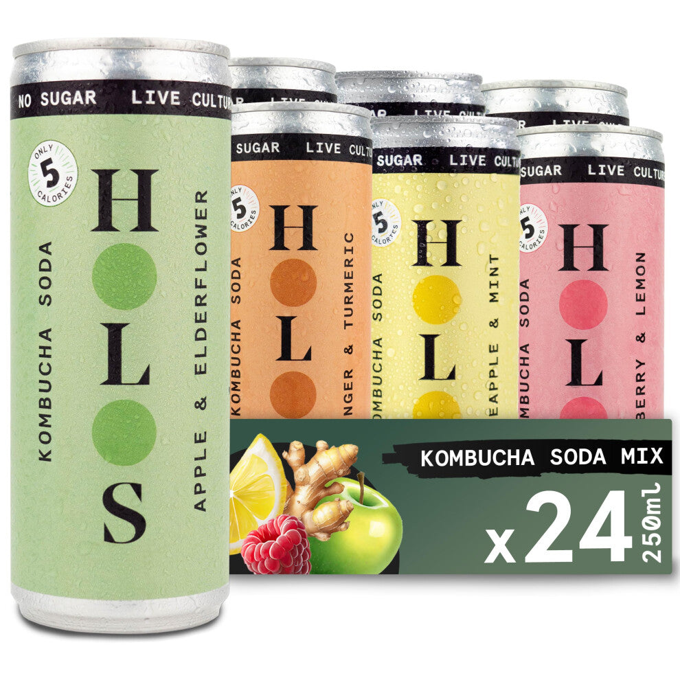 HOLOS Mixed Case Sparkling Kombucha Soda - 6x Each Raspberry & Lemon, Apple & Elderflower, Ginger & Turmeric, Pineapple & Mint Kombucha Drink - Sugar