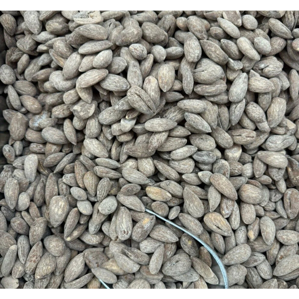 Roasted Almonds- Salted & Roasted Almonds 500g