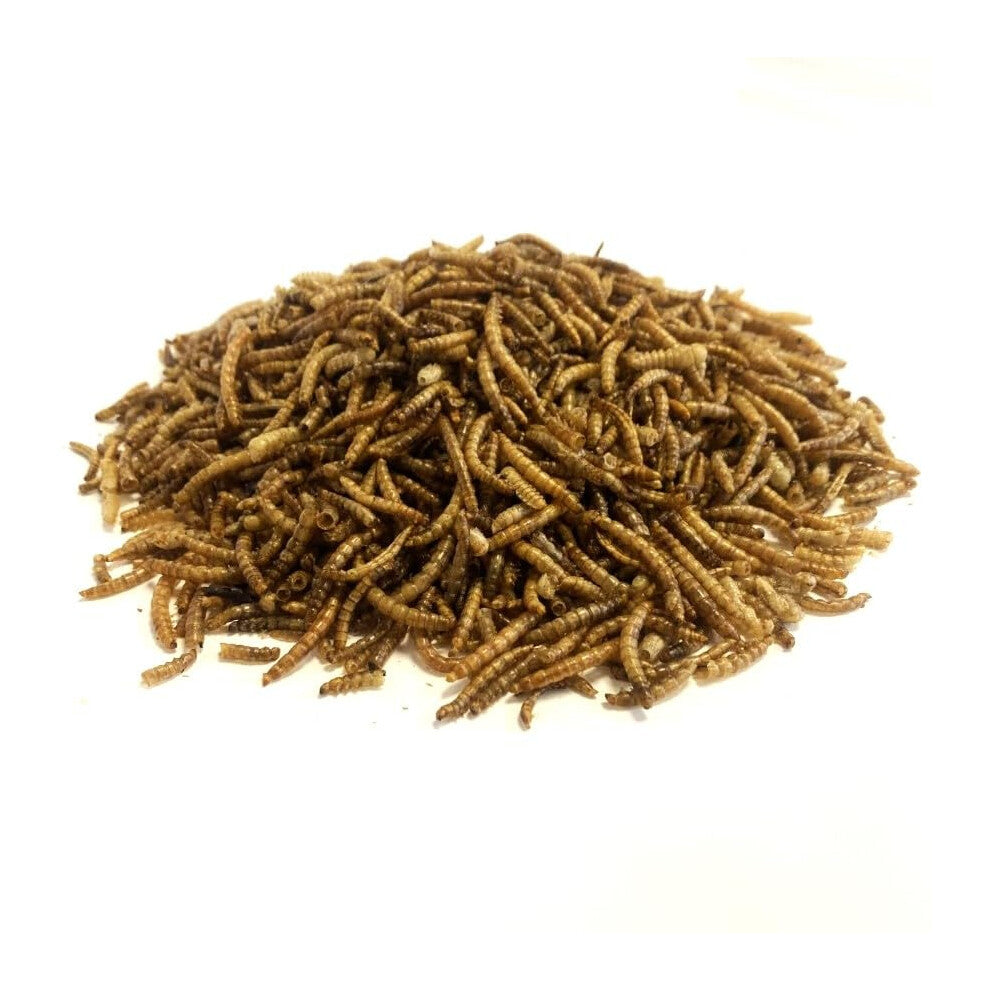 Dried Mealworms 5kg Premium Insectivorous Wild Bird Food By Maltbys Stores 1904 Limited
