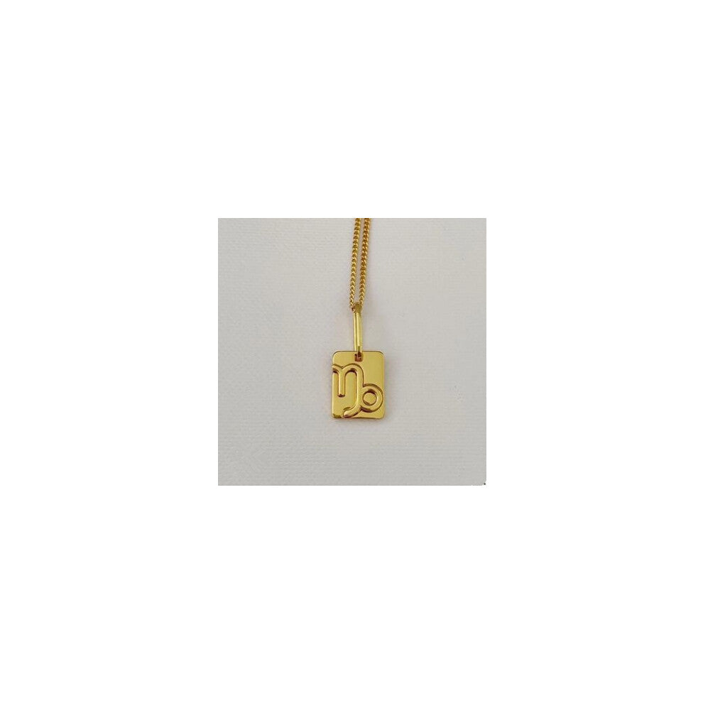 (Capricorn necklace) The 12 zodiac sign necklace for women, with a golden brass pendant and a layering collarbone chain, is a simple and popular Inter