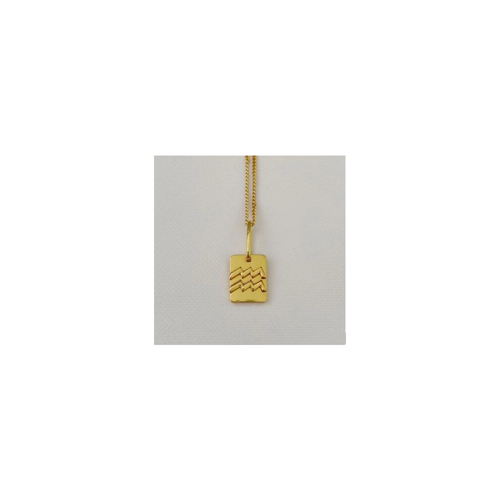 (Aquarius Necklace) The 12 zodiac sign necklace for women, with a golden brass pendant and a layering collarbone chain, is a simple and popular Intern