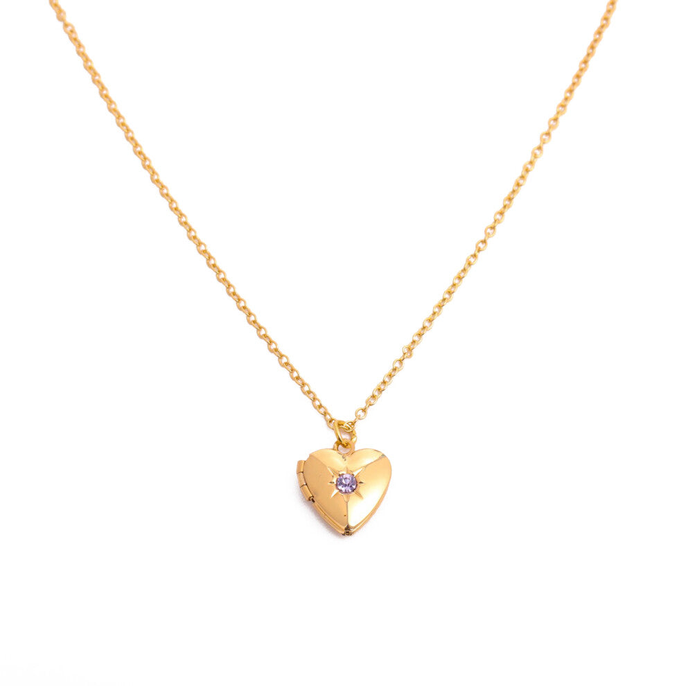 Birthstone Feature Alloy Necklace Suitable for Modern-February