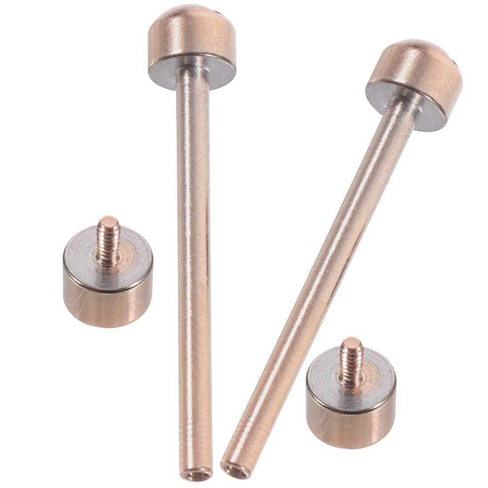 iron sheet flower vase for dried or fresh flowers white