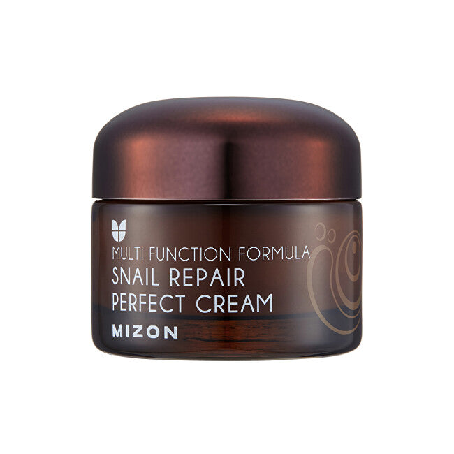 Mizon Face cream with filtered snail secretion 60% for problem skin (Snail Repair Perfect Cream) 50 ml