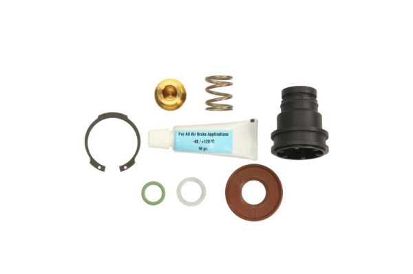 Repair Kit, air dryer PNEUMATICS PN-RW0003