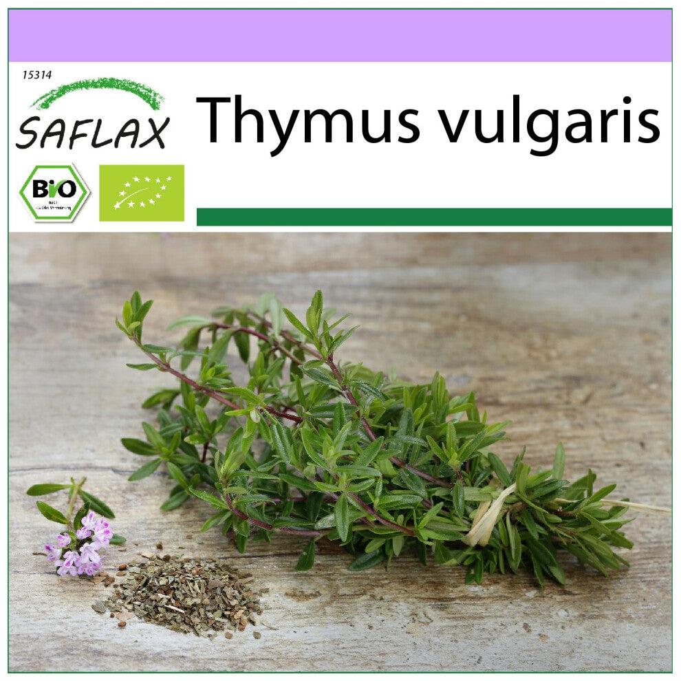 SAFLAX - Organic - Thyme - 800 seeds  - Thymus vulgaris