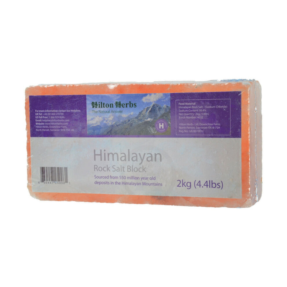 Hilton Herbs Salt Block