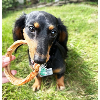 The Treat Shack® Large Beef Bully Rings Dog Treats (5 to 20-Count) - Large Beef Bully Rings Dog Treats, 10 Ct