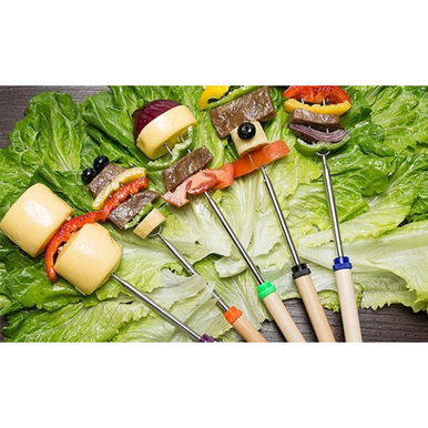 LakeForest® Stainless Steel Roasting Sticks Set with Bonus Utensils
