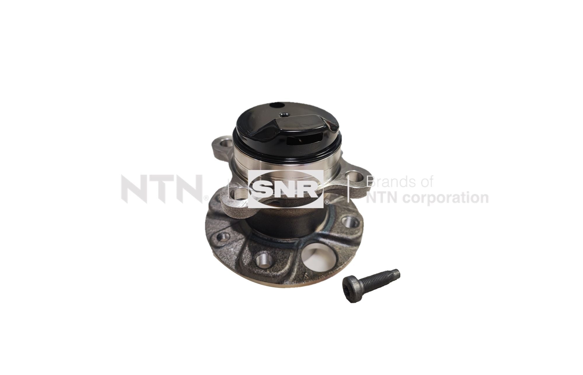 Wheel Bearing Kit SNR R169.126