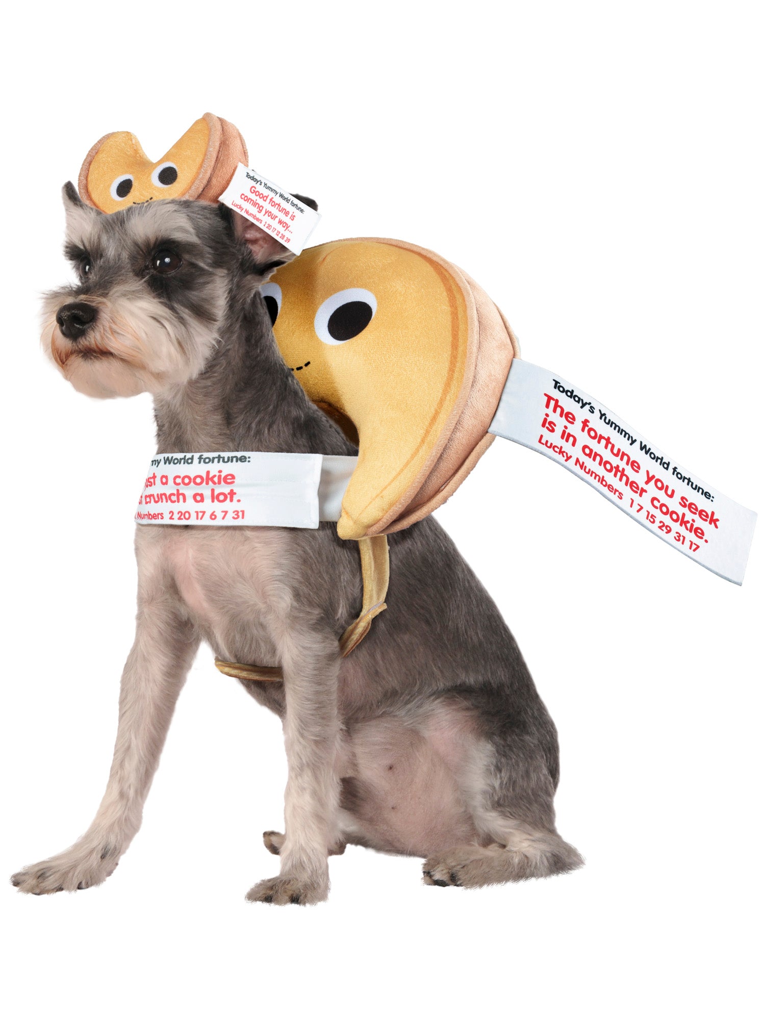 Yummy World Fortune Cookie Pet Costume by Kidrobot