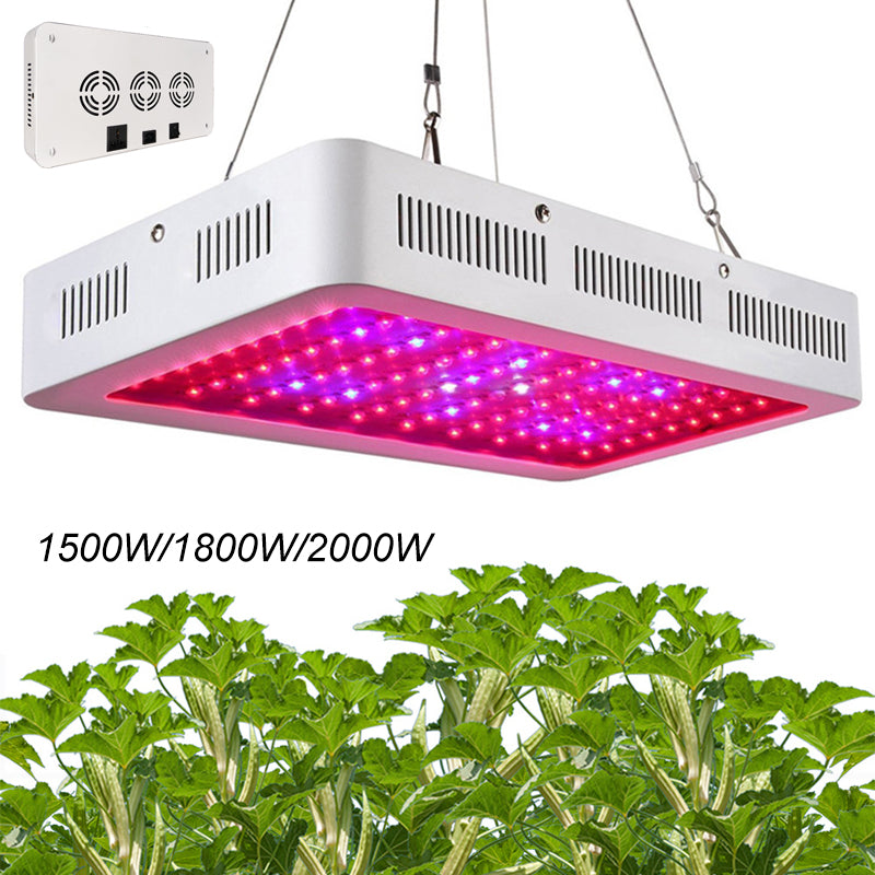 Grow Light Full Spectrum Double Chip Single Switch 1500W 1800W 2000W For Covered Tent Green Houses Plant Hydroponic Systems
