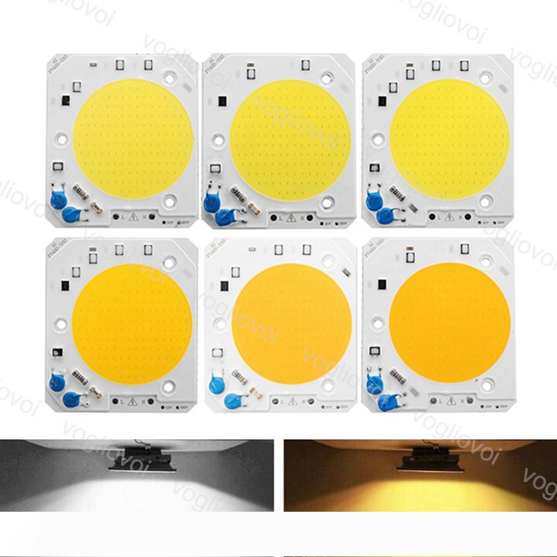 Light Beads COB LED Light Chip 30W 40W 50W White Warm White 60mm Luminous Surface DIY For Bulb Flood Light AC110 220V EUB