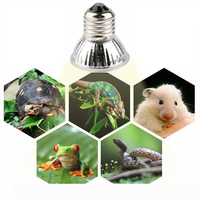 25 50 75W UVA+UVB 3.0 Reptile Lamp Bulb Turtle Basking UV Light Bulbs Heating Lamp Amphibians Lizards Temperature Controller