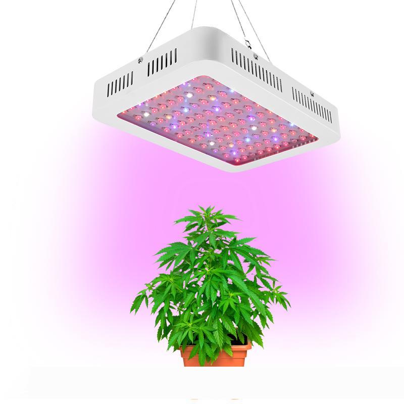 All Saints&#039; Day Light 1000W Full Spectrum Led Tent Covered Green houses Lamp Plant Grow Lamps for Veg Flowering
