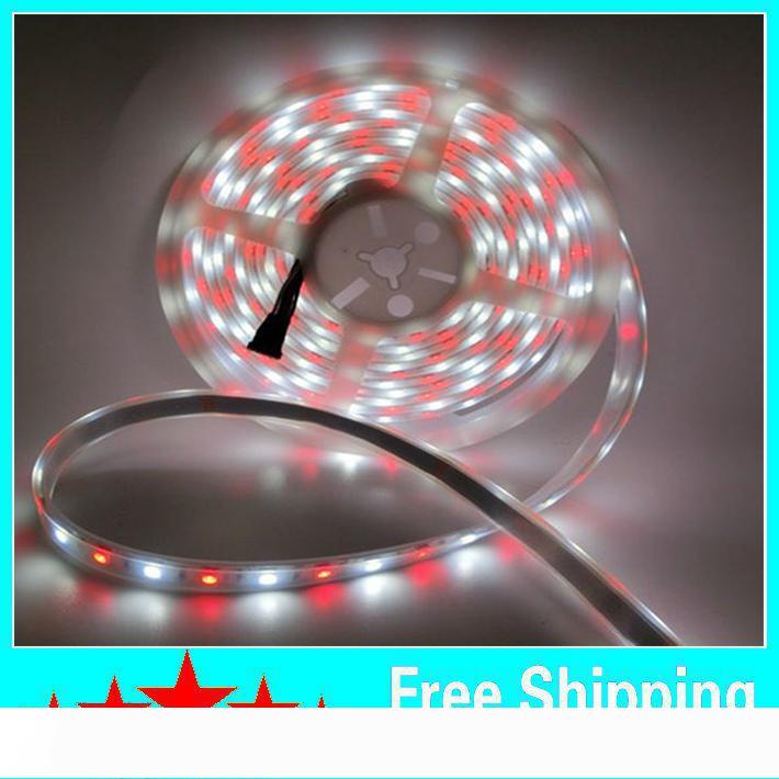 Cheap 5M 5050 RGB+White LED Strip RGBW WW SMD Flex LED Light 5M 300LEDS Waterproof Tube Silica 12V DC For Christmas