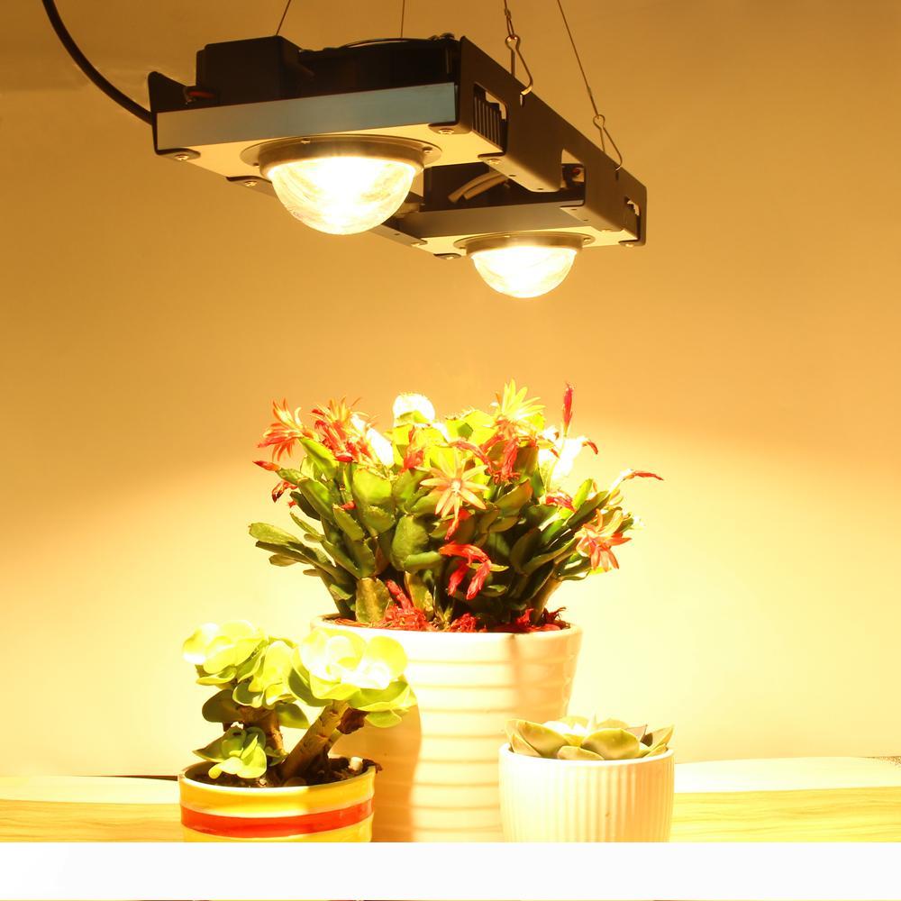 CREE CXB3590 COB LED Grow Light Full Spectrum 200W Citizen LED Plant Grow Lamp for Indoor Tent Greenhouses Hydroponic Plant