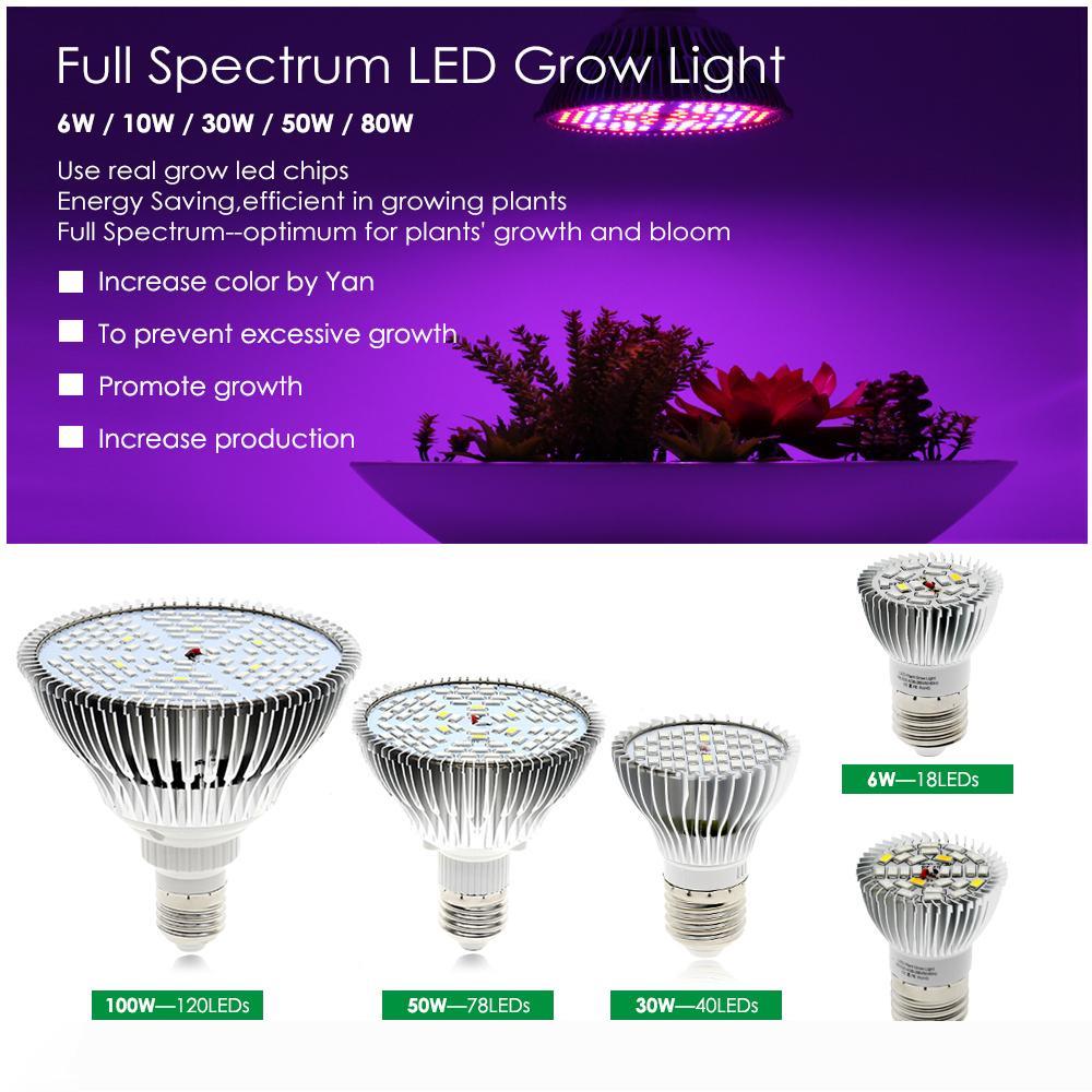 30W 50W 80W LED Growing Bulb Hydroponics Flowers Plants LED Growth Lamp Full Spectrum E27 Grow Light for Indoor LED009