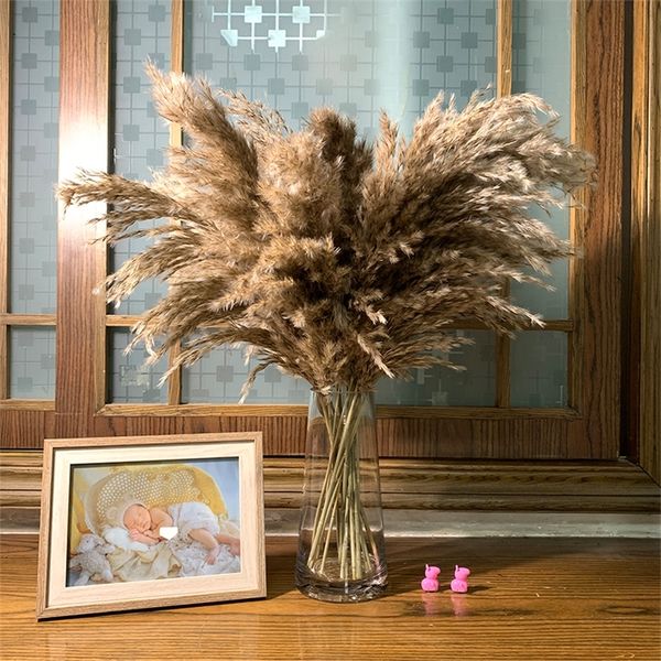 20 stems Raw Color Dried Pampas Grass Bouquet Wedding Flower Bunch Natural Plants Home Decor 210317