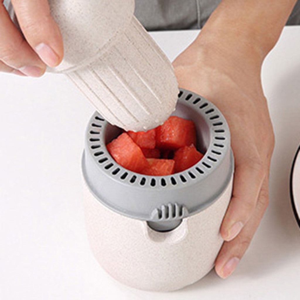 Multifunctional Fruit House Orange Juicer Mini Portrait Manual Garrafa Kit