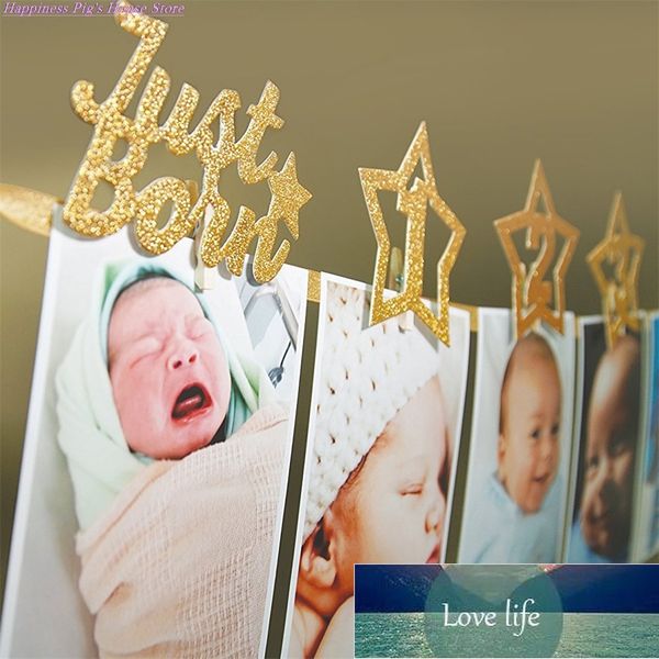 3 Meters Glitter Babys First Birthday Banner Birthday Banner 1st Birthday Banner Photo Banners Garland With Clips