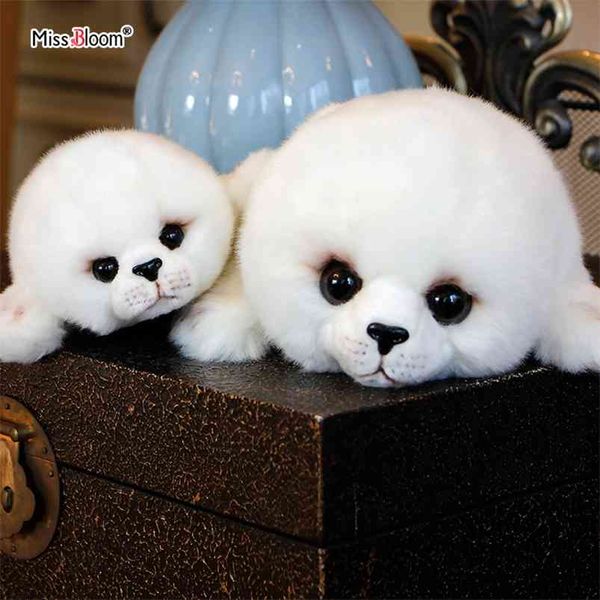 Drop Soft Cute Seals Plush Toy World Animal Lion Stuffed Doll Big-Eyes Baby Birthday Gift for Kids Dolls 210728