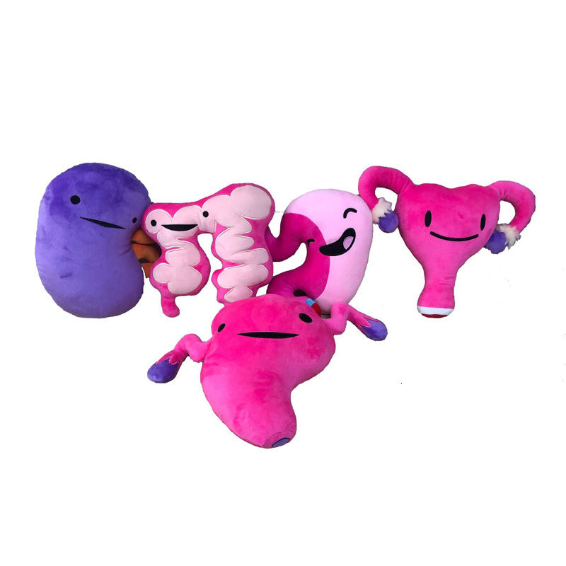 Dolls i Know My Heart Plush Toy Human Organ Preschool Education Doll Large Intestine Uterus