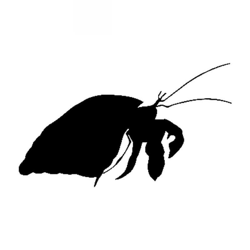Hermit Crab Animal Decals Fashion Car Window Decoration Decals Personalized Waterproof Decals Black-white, 14cm * 8cm