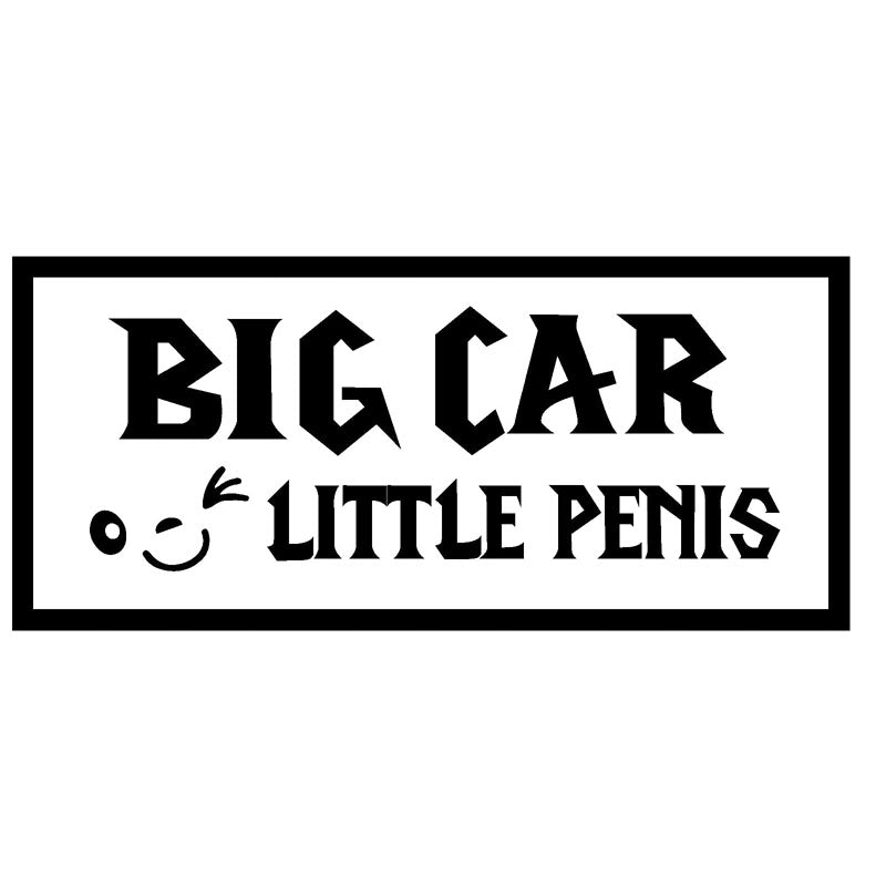 14.6X6.5CM BIG CAR LITTLE PENIS Funny Vinyl Decal Sticker Car Window Car-styling