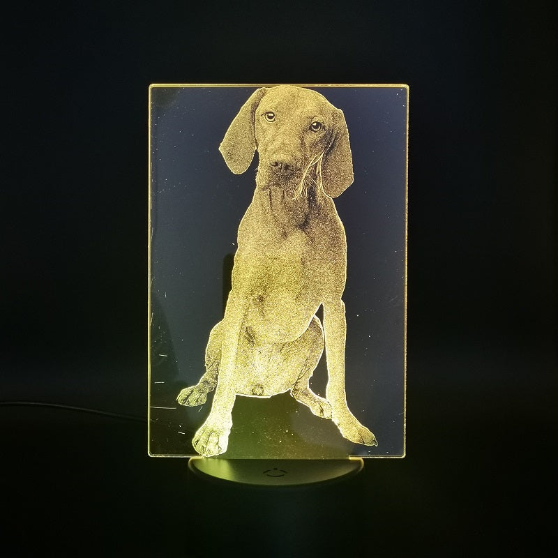 Acrylic 3D Night Light Hungarian Vizsla LED Desk Lamp Animal Nightlight Pet Dog RGB Color APP Control Party Decor Birthday Gift