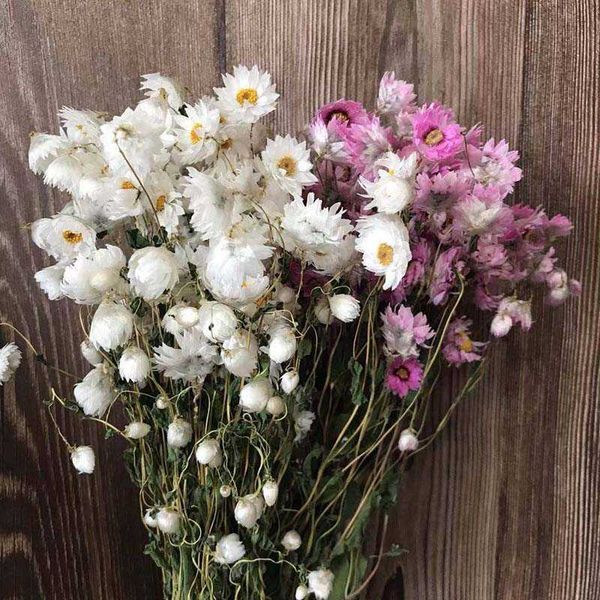 1-2.5CM Head-About 35g Real Natural Dried Flowers Rudan Bird,Mini Daisy Dry Rodance,Small Daisys Flower Bouquet,Home Decoration 210624