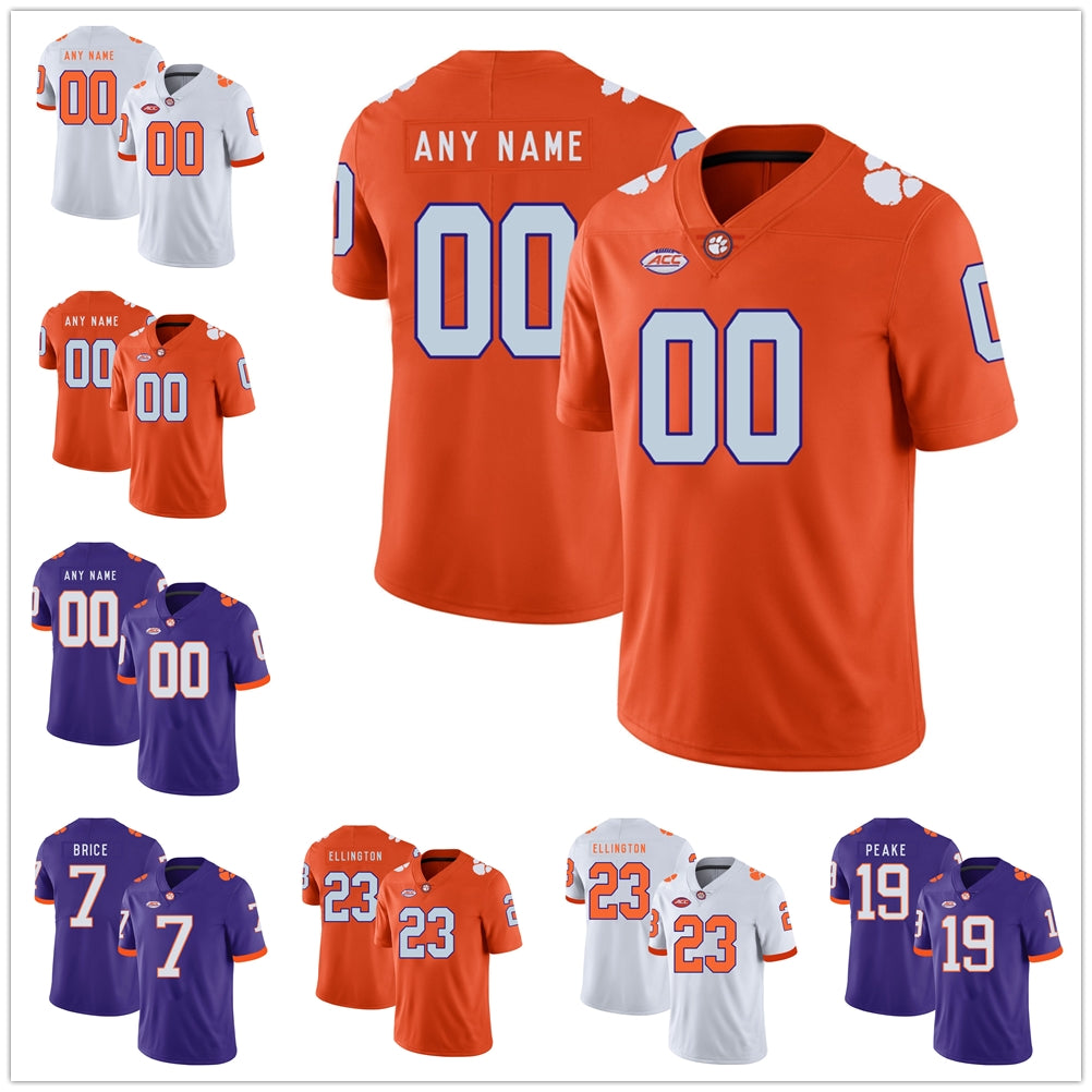 NCAA Clemson Tigers football jersey Frank Ladson Jr.Amari Rodgers Tee Higgins Any name number men youth stitched Jerseys