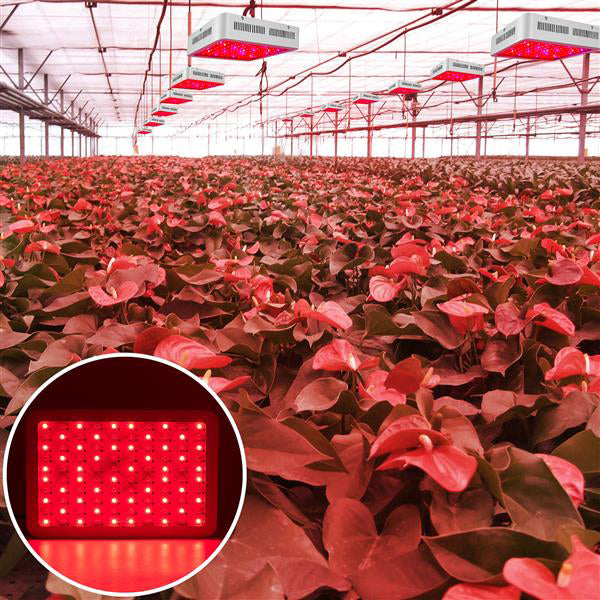 wholesale Hot sale 600W Dual Chips 380-730nm Full Light Spectrum LED Plant Growth Lamp White premium material Grow Lights