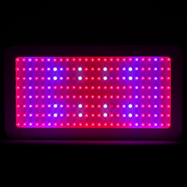Newest Design 2000W Dual Chips 380-730nm Full Light Spectrum LED Plant Growth Lamp White Grow Lights wholesale